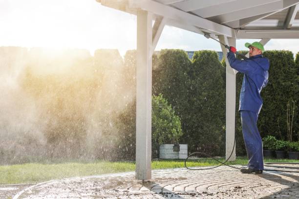 Animal Enclosure Cleaning in Castle Hills, TX